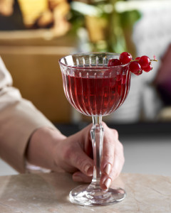 Joy Coupe Cocktail 245ml - Set 6