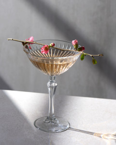 Joy Coupe Cocktail 245ml - Set 6