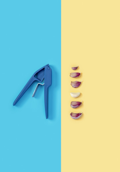 Tasty Garlic Press - Clearance