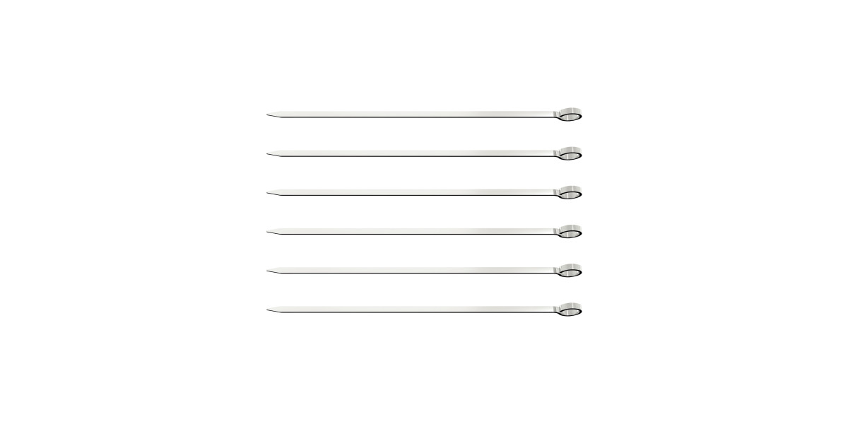Churrasco Skewer 20cm 6 Piece Set