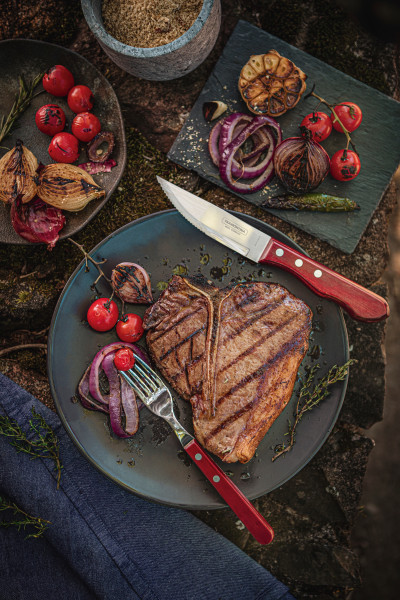 Churrasco Jumbo Steak Cutlery 12 Piece Set - Red